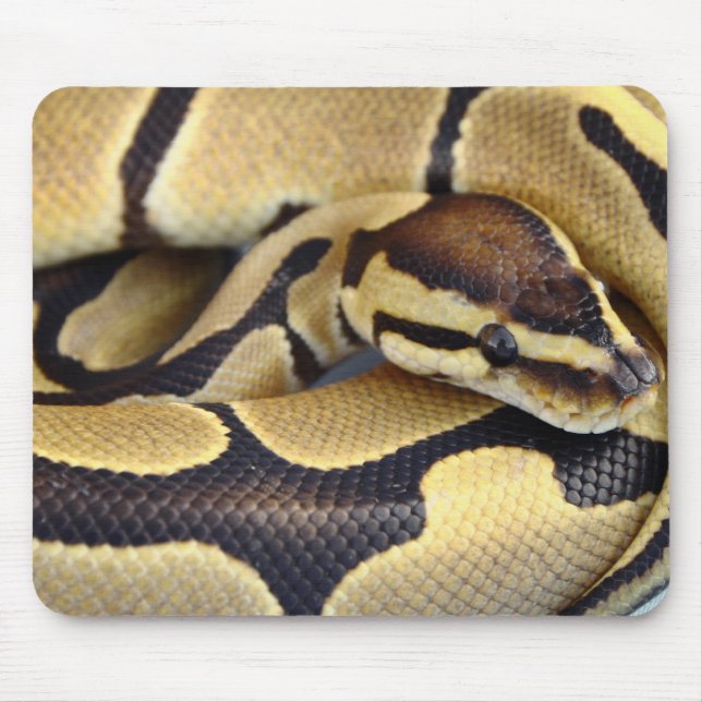 Yellow and Black Ball Python 3 Mouse Mat (Front)