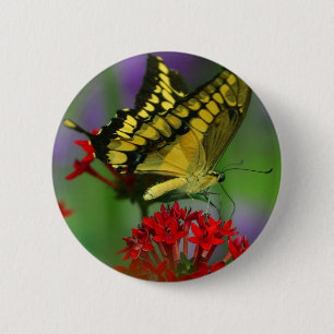 Yellow and Black Butterfly 6 Cm Round Badge