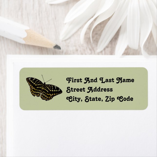  Yellow and Black Butterfly Art Nature Drawing (Insitu)