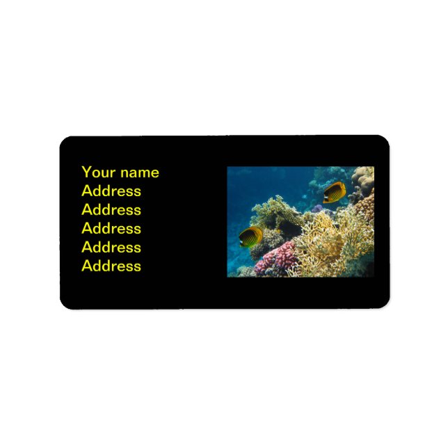 Yellow and Black Butterfly Fish Label (Front)