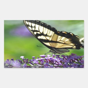 Yellow and Black Butterfly on Lavender Rectangular Sticker