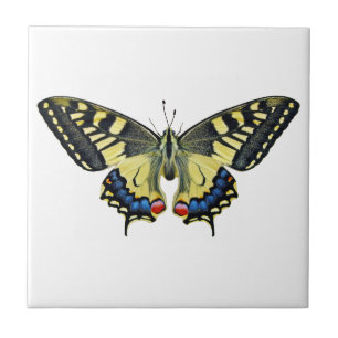 Yellow and black butterfly   tile
