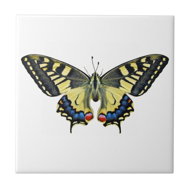 Yellow and black butterfly   tile (Front)