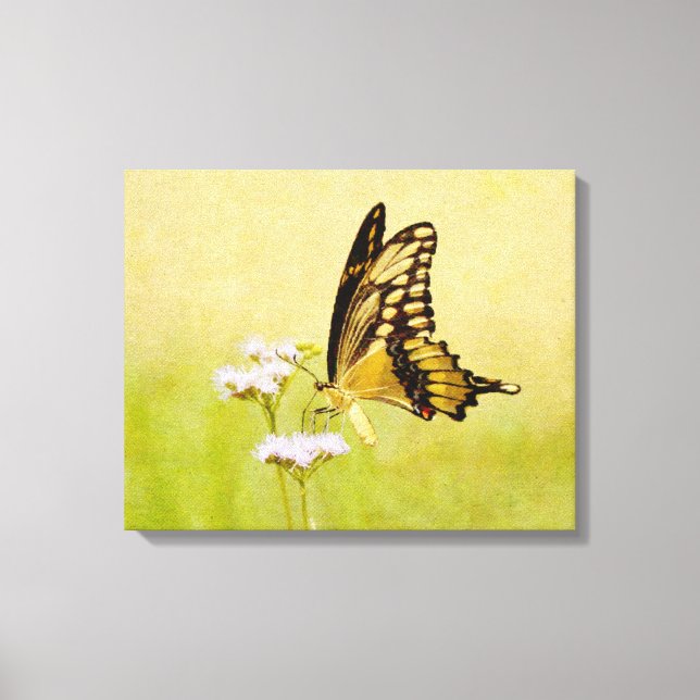 Yellow and Black Butterfly Wildflower Art Print (Front)