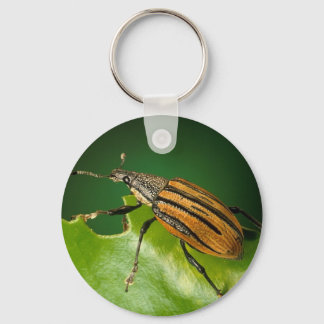 Yellow and black  striped weevils bettle key ring