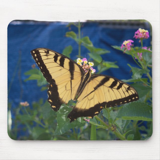 Yellow and black Swallowtail Butterfly Mouse Mat (Front)