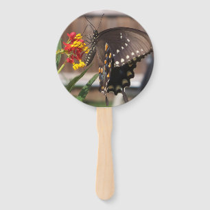 Yellow and black swallowtail butterfly on a fan