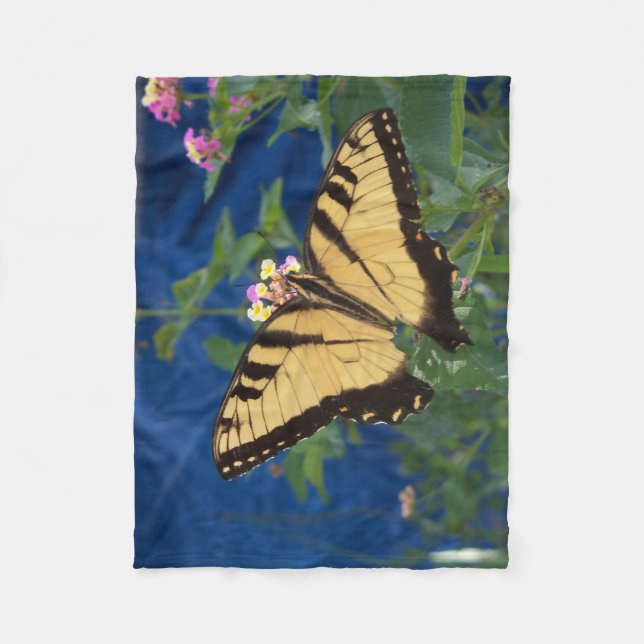 Yellow and black swallowtail butterfly on a fleece blanket (Front)