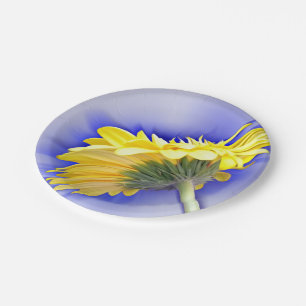Yellow and blue paper plate