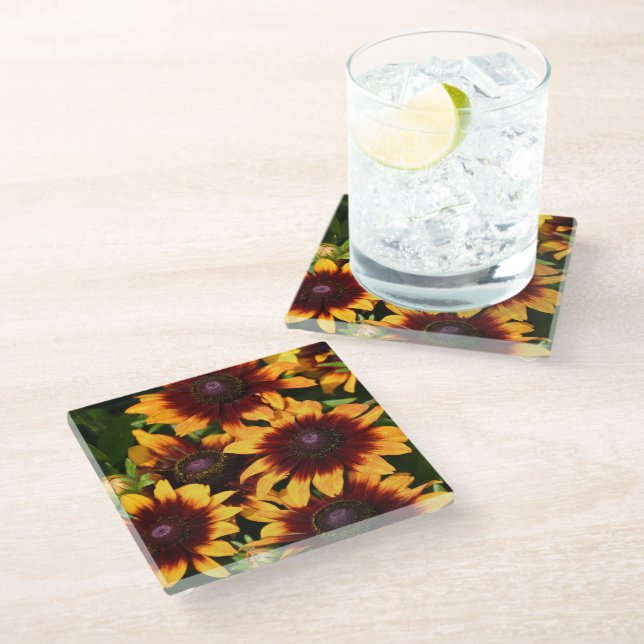 Yellow and Bronze Rudbeckias Floral Glass Coaster (Angled)