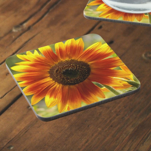 Yellow and Bronze Sunflower Floral Coaster (In Situ)