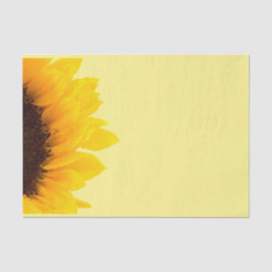 Yellow and Brown Sunflower on Light Yellow Tissue Paper