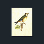Yellow and Green Bird Perched on a Little Branch Canvas Print<br><div class="desc">This engraved-inspired print displays sharp,  vivid images with a high degree of colour accuracy. The neutral background helps emphasise the colours of the bird. Customise your favourite Zazzle product using this beautiful image.</div>