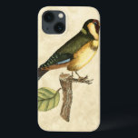 Yellow and Green Bird Perched on a Little Branch iPhone 13 Case<br><div class="desc">This engraved-inspired print displays sharp,  vivid images with a high degree of colour accuracy. The neutral background helps emphasise the colours of the bird. Customise your favourite Zazzle product using this beautiful image.</div>