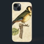 Yellow and Green Bird Perched on a Little Branch iPhone 13 Case<br><div class="desc">This engraved-inspired print displays sharp,  vivid images with a high degree of colour accuracy. The neutral background helps emphasise the colours of the bird. Customise your favourite Zazzle product using this beautiful image.</div>