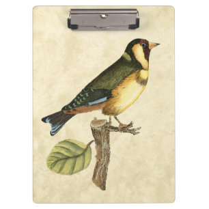 Yellow and Green Bird Perched on a Little Branch Clipboard