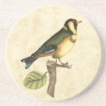 Yellow and Green Bird Perched on a Little Branch Coaster<br><div class="desc">This engraved-inspired print displays sharp,  vivid images with a high degree of colour accuracy. The neutral background helps emphasise the colours of the bird. Customise your favourite Zazzle product using this beautiful image.</div>
