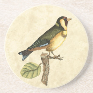 Yellow and Green Bird Perched on a Little Branch Coaster