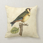 Yellow and Green Bird Perched on a Little Branch Cushion<br><div class="desc">This engraved-inspired print displays sharp,  vivid images with a high degree of colour accuracy. The neutral background helps emphasise the colours of the bird. Customise your favourite Zazzle product using this beautiful image.</div>