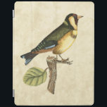 Yellow and Green Bird Perched on a Little Branch iPad Cover<br><div class="desc">This engraved-inspired print displays sharp,  vivid images with a high degree of colour accuracy. The neutral background helps emphasise the colours of the bird. Customise your favourite Zazzle product using this beautiful image.</div>