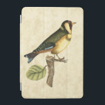 Yellow and Green Bird Perched on a Little Branch iPad Mini Cover<br><div class="desc">This engraved-inspired print displays sharp,  vivid images with a high degree of colour accuracy. The neutral background helps emphasise the colours of the bird. Customise your favourite Zazzle product using this beautiful image.</div>