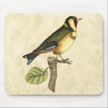 Yellow and Green Bird Perched on a Little Branch Mouse Mat<br><div class="desc">This engraved-inspired print displays sharp,  vivid images with a high degree of colour accuracy. The neutral background helps emphasise the colours of the bird. Customise your favourite Zazzle product using this beautiful image.</div>