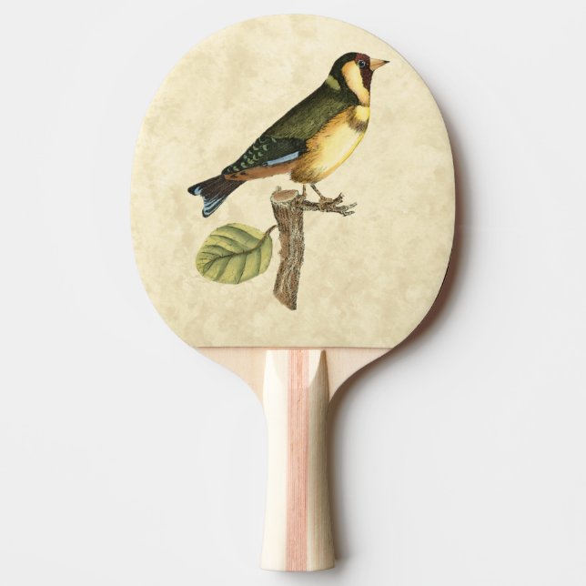 Yellow and Green Bird Perched on a Little Branch Ping Pong Paddle (Front)