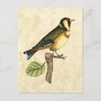 Yellow and Green Bird Perched on a Little Branch