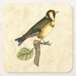 Yellow and Green Bird Perched on a Little Branch Square Paper Coaster<br><div class="desc">This engraved-inspired print displays sharp,  vivid images with a high degree of colour accuracy. The neutral background helps emphasise the colours of the bird. Customise your favourite Zazzle product using this beautiful image.</div>