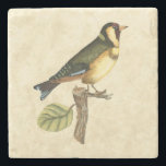 Yellow and Green Bird Perched on a Little Branch Stone Coaster<br><div class="desc">This engraved-inspired print displays sharp,  vivid images with a high degree of colour accuracy. The neutral background helps emphasise the colours of the bird. Customise your favourite Zazzle product using this beautiful image.</div>