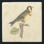 Yellow and Green Bird Perched on a Little Branch Stone Coaster<br><div class="desc">This engraved-inspired print displays sharp,  vivid images with a high degree of colour accuracy. The neutral background helps emphasise the colours of the bird. Customise your favourite Zazzle product using this beautiful image.</div>