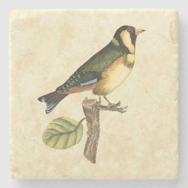 Yellow and Green Bird Perched on a Little Branch Stone Coaster (Front)