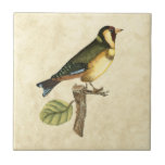 Yellow and Green Bird Perched on a Little Branch Tile<br><div class="desc">This engraved-inspired print displays sharp,  vivid images with a high degree of colour accuracy. The neutral background helps emphasise the colours of the bird. Customise your favourite Zazzle product using this beautiful image.</div>