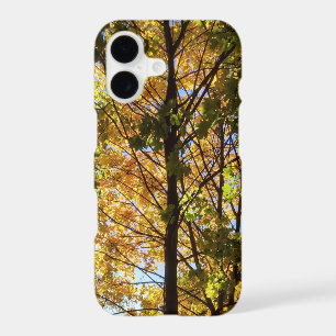 Yellow and Green Fall Foliage