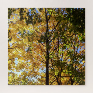 Yellow and Green Fall Foliage Jigsaw Puzzle
