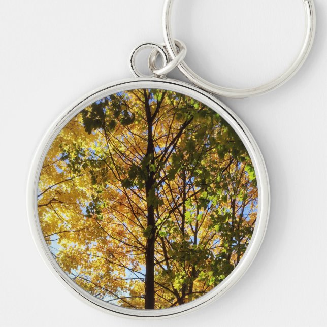 Yellow and Green Fall Foliage Key Ring (Front)