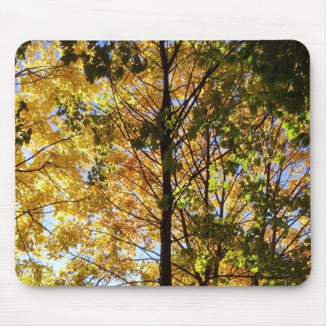Yellow and Green Fall Foliage Mouse Mat (Front)