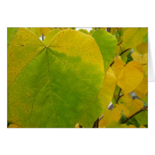 Yellow and Green Redbud Leaves
