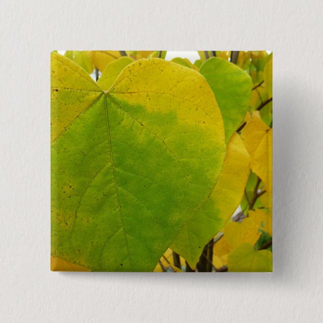 Yellow and Green Redbud Leaves 15 Cm Square Badge (Front)