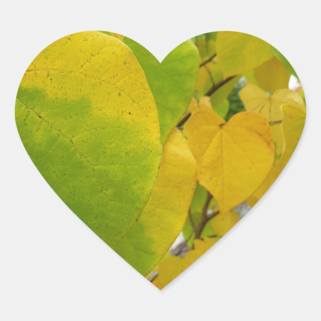 Yellow and Green Redbud Leaves Heart Sticker (Front)