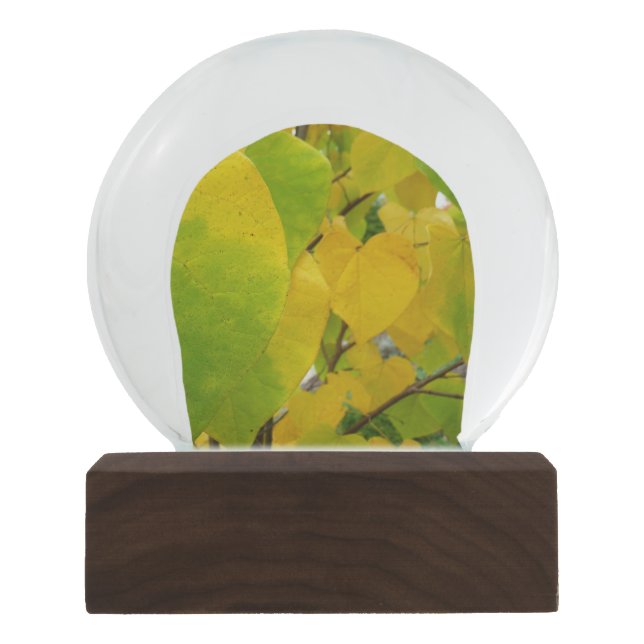 Yellow and Green Redbud Leaves Snow Globe (Front)