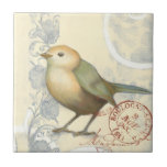 Yellow and Green Sparrow on Vintage Background Tile<br><div class="desc">This sketch-inspired image is perfect for your bird collection. It is simple and beautiful to add on any product and will please any vintage art lover. Choose this artprint today.</div>