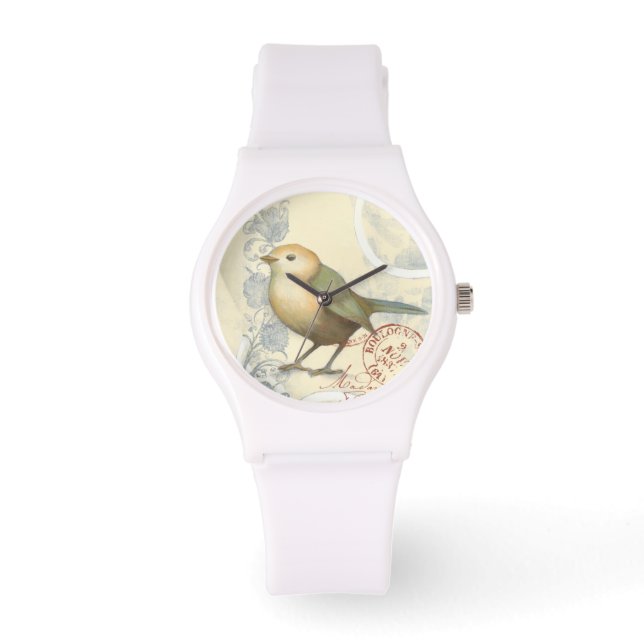Yellow and Green Sparrow on Vintage Background Watch (Front)