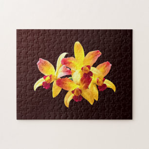 Yellow and Maroon Orchids Brassolaeliocattleya Jigsaw Puzzle