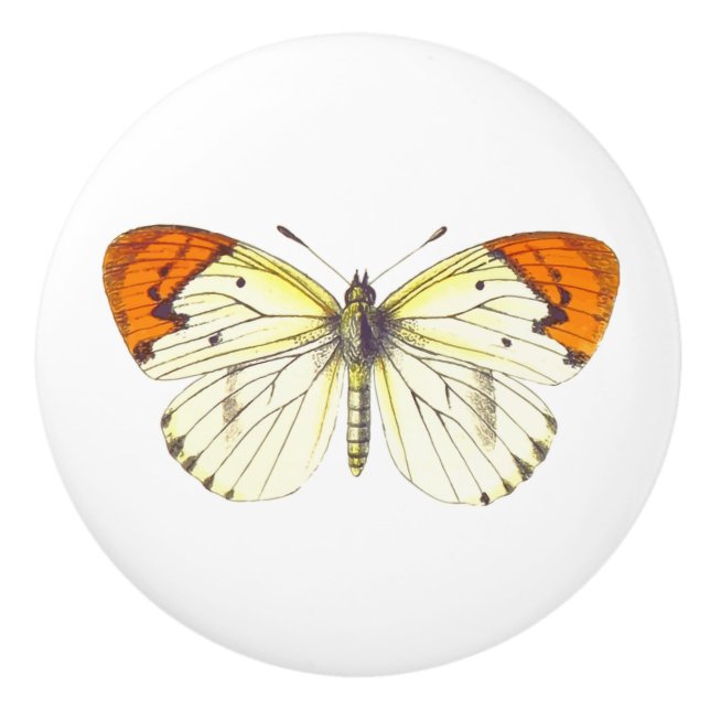 Yellow and Orange Butterfly Ceramic Knob (Front)