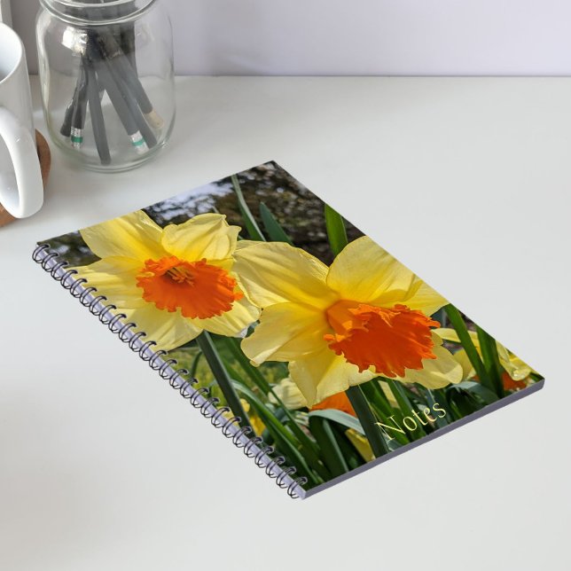 Yellow and Orange Daffodils Floral Notebook (In Situ)