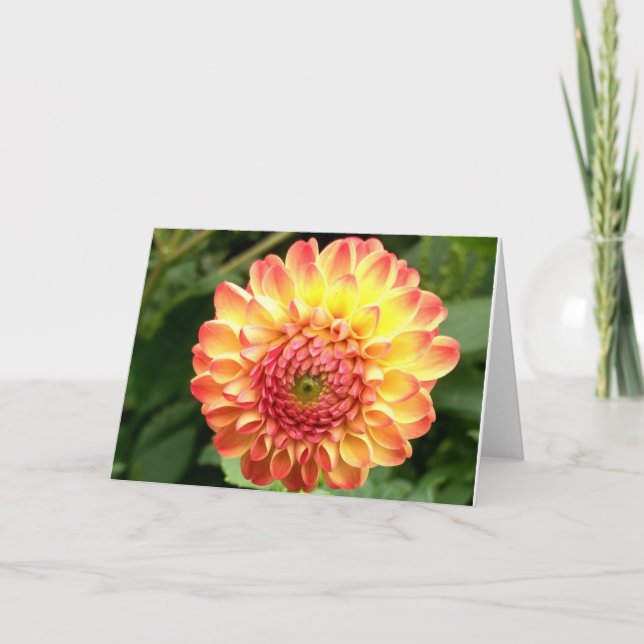 Yellow and orange dahlia on a blank note card (Front)