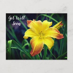 Yellow and Orange Daylily Get Well Soon Postcard