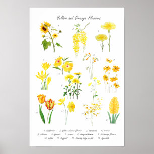 yellow and orange flowers collection  poster