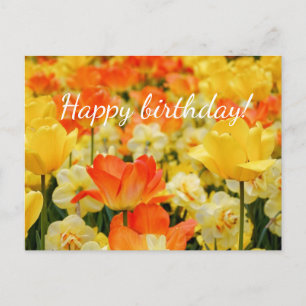 Yellow and Orange flowers Postcard